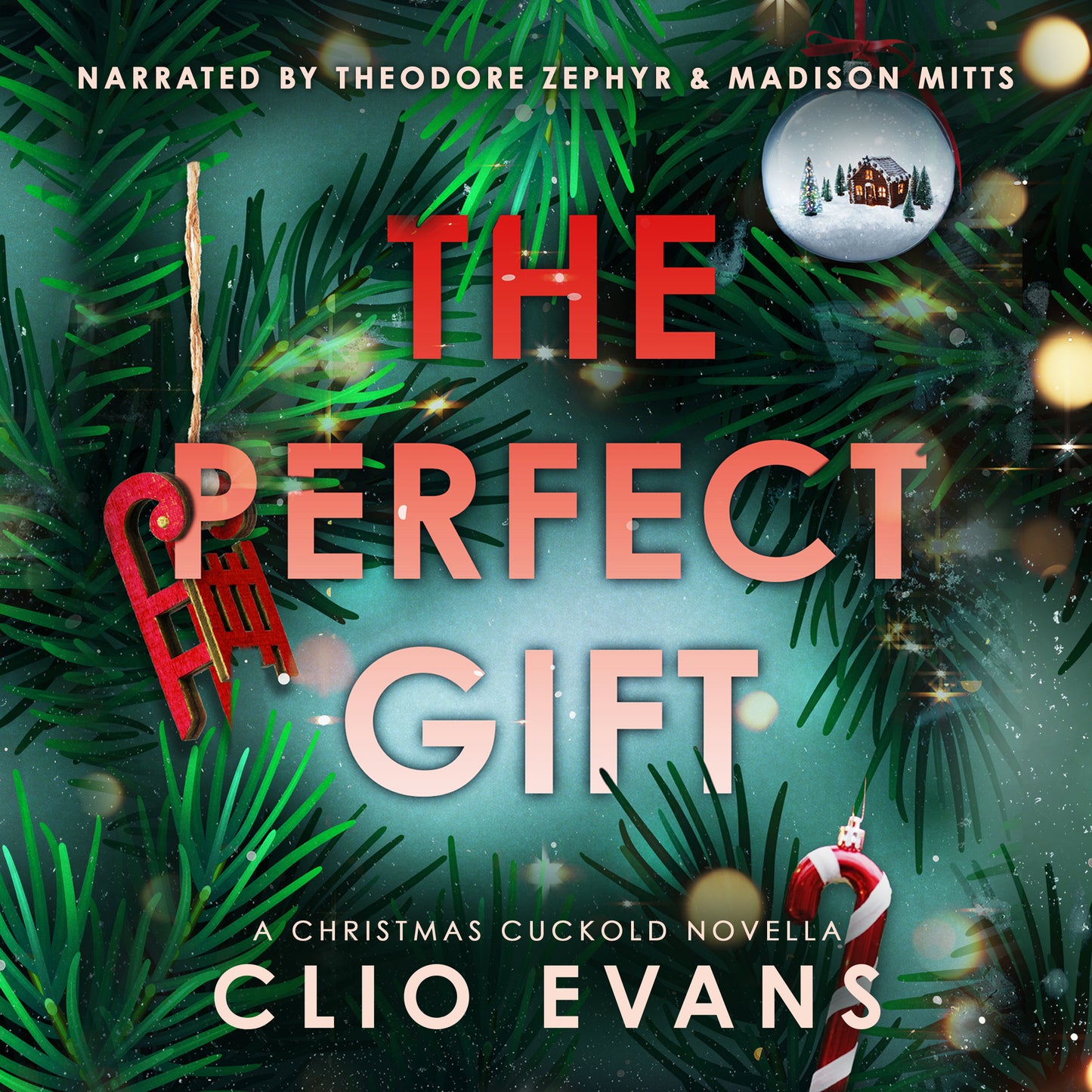 The Perfect Gift Audiobook- Narrated by Theodore Zephyr and Madison Mitts